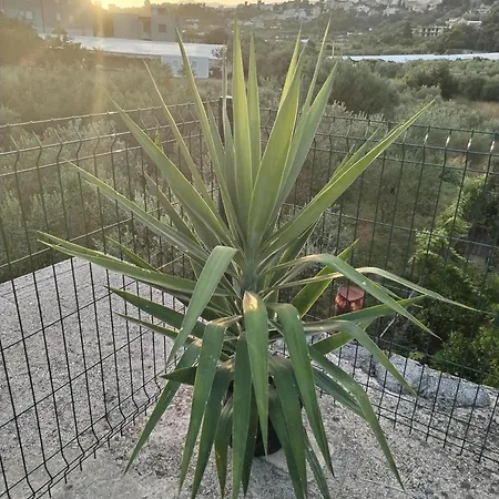 Kerum Rooftop With Intex Pure Daire *