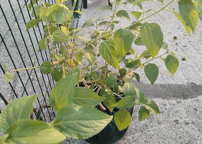 Kerum Rooftop With Intex Pure Appartement Stobreč